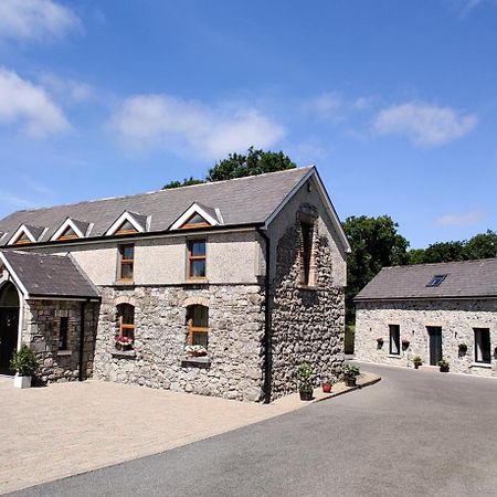Moynure House Boutique B&B & Separate Two Bedroom Chalet Athlone Buitenkant foto