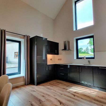 Moynure House Boutique B&B & Separate Two Bedroom Chalet Athlone Buitenkant foto