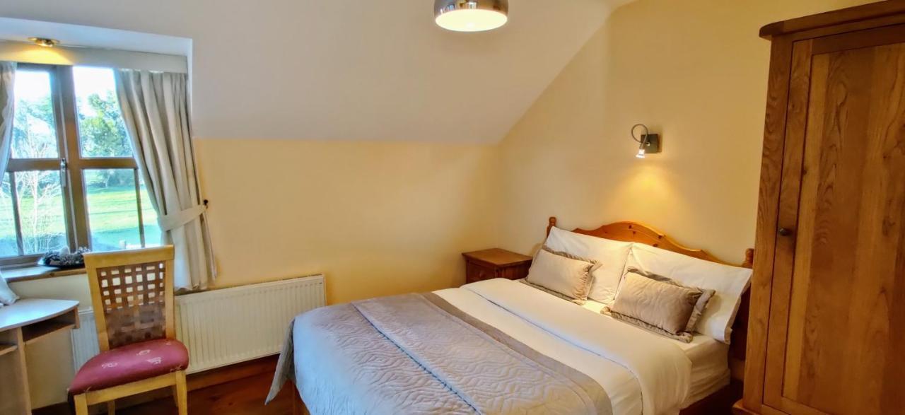 Moynure House Boutique B&B & Separate Two Bedroom Chalet Athlone Buitenkant foto