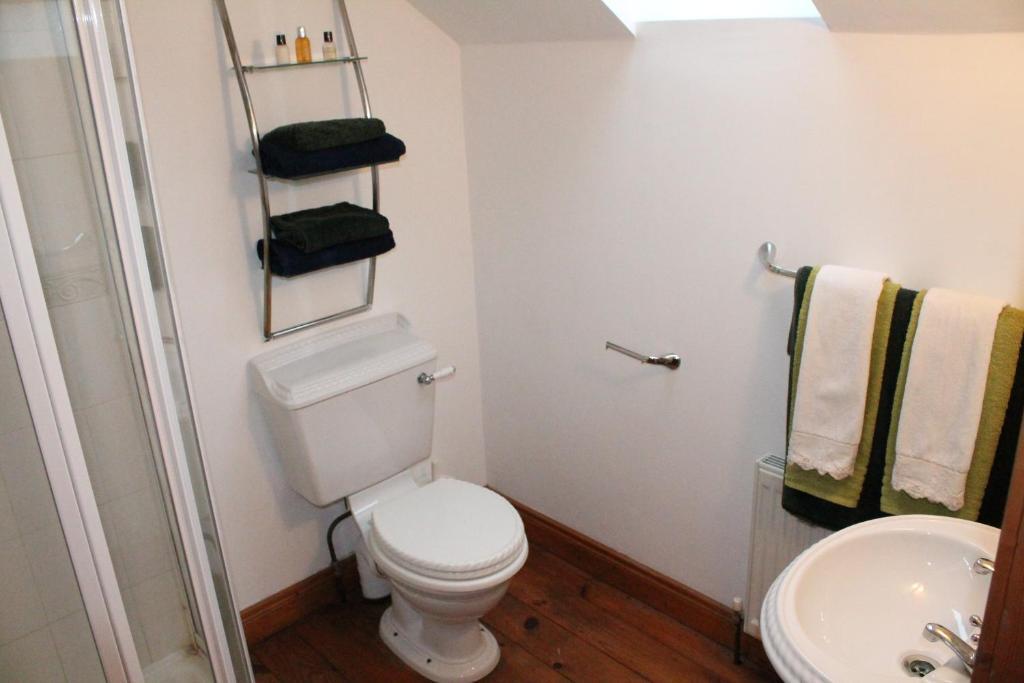 Moynure House Boutique B&B & Separate Two Bedroom Chalet Athlone Kamer foto
