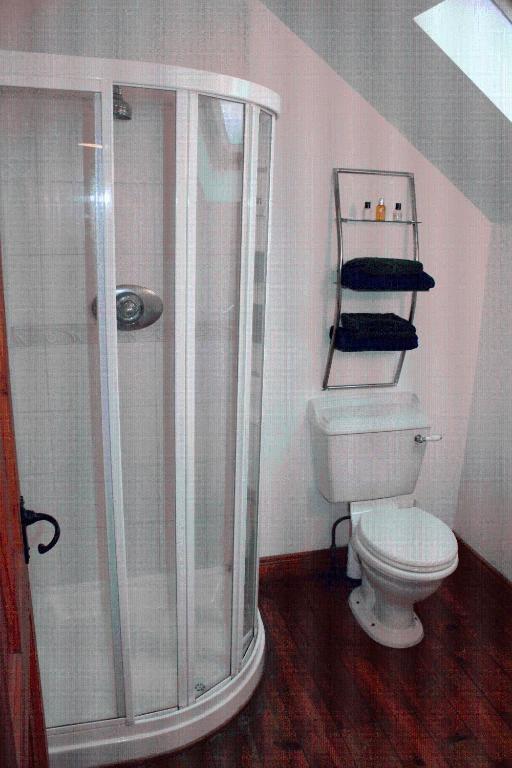 Moynure House Boutique B&B & Separate Two Bedroom Chalet Athlone Buitenkant foto