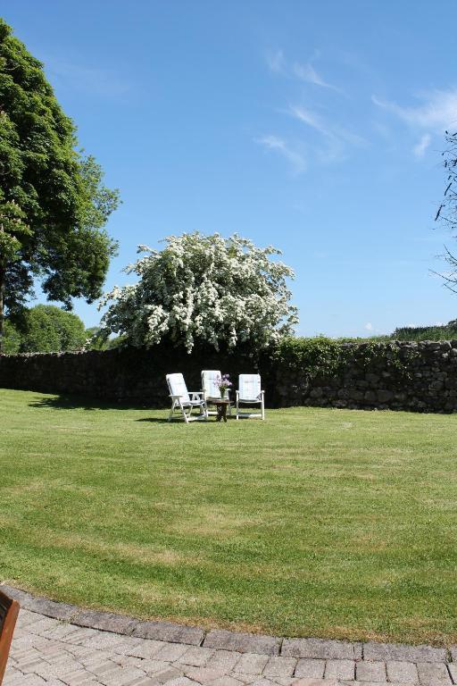 Moynure House Boutique B&B & Separate Two Bedroom Chalet Athlone Buitenkant foto